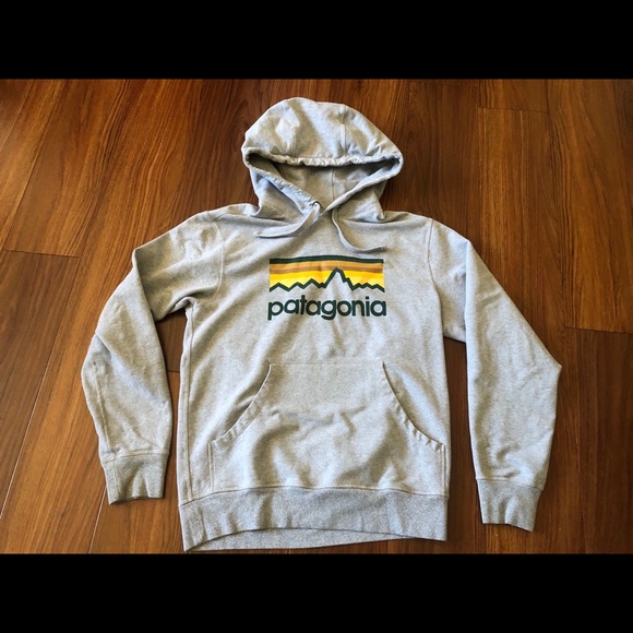 🛑SOLD🛑Patagonia Organic Cotton Hoodie Sweatshirt - Picture 1 of 7
